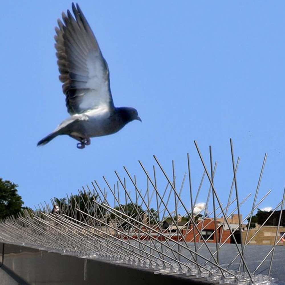 Bird Spikes | Bird Control Spikes | Bird Deterrent Spikes (per metre)