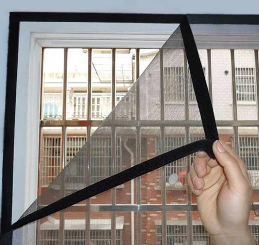 Cat Window Screen - Black Edge, 1000mm x 1000mm / 39" x 39": image 10
