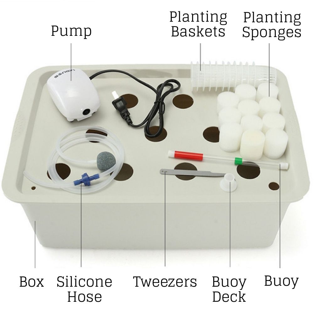 Deep Water Culture Hydroponic System: image 2