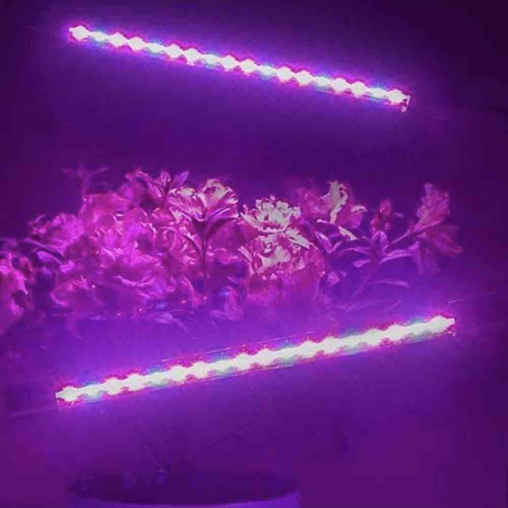 LED Grow Light: image 1